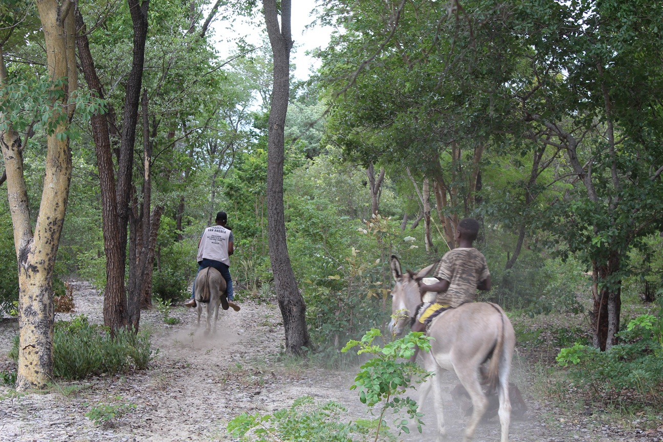A equipa fez recurso ao Jumento / Burro, para localizar comunidades mais isoladas